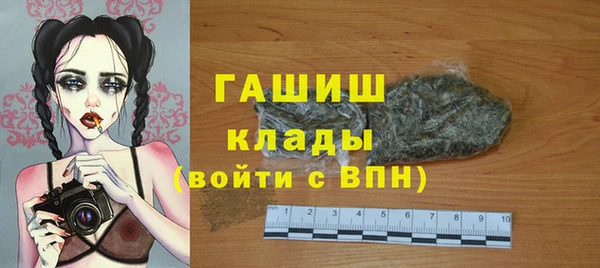 шишки Медвежьегорск