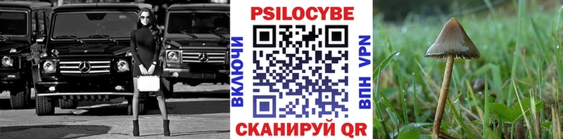 купить закладку  Бокситогорск  Псилоцибиновые грибы мицелий 