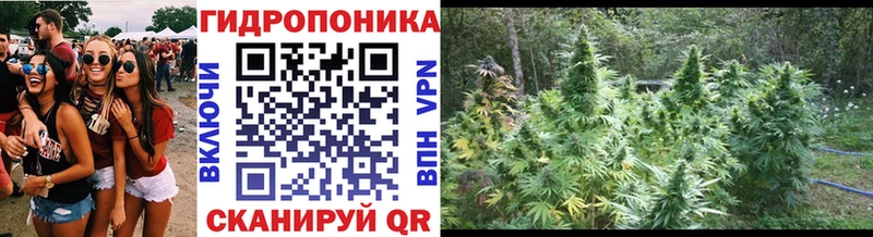 купить наркотик Бокситогорск Марихуана сатива